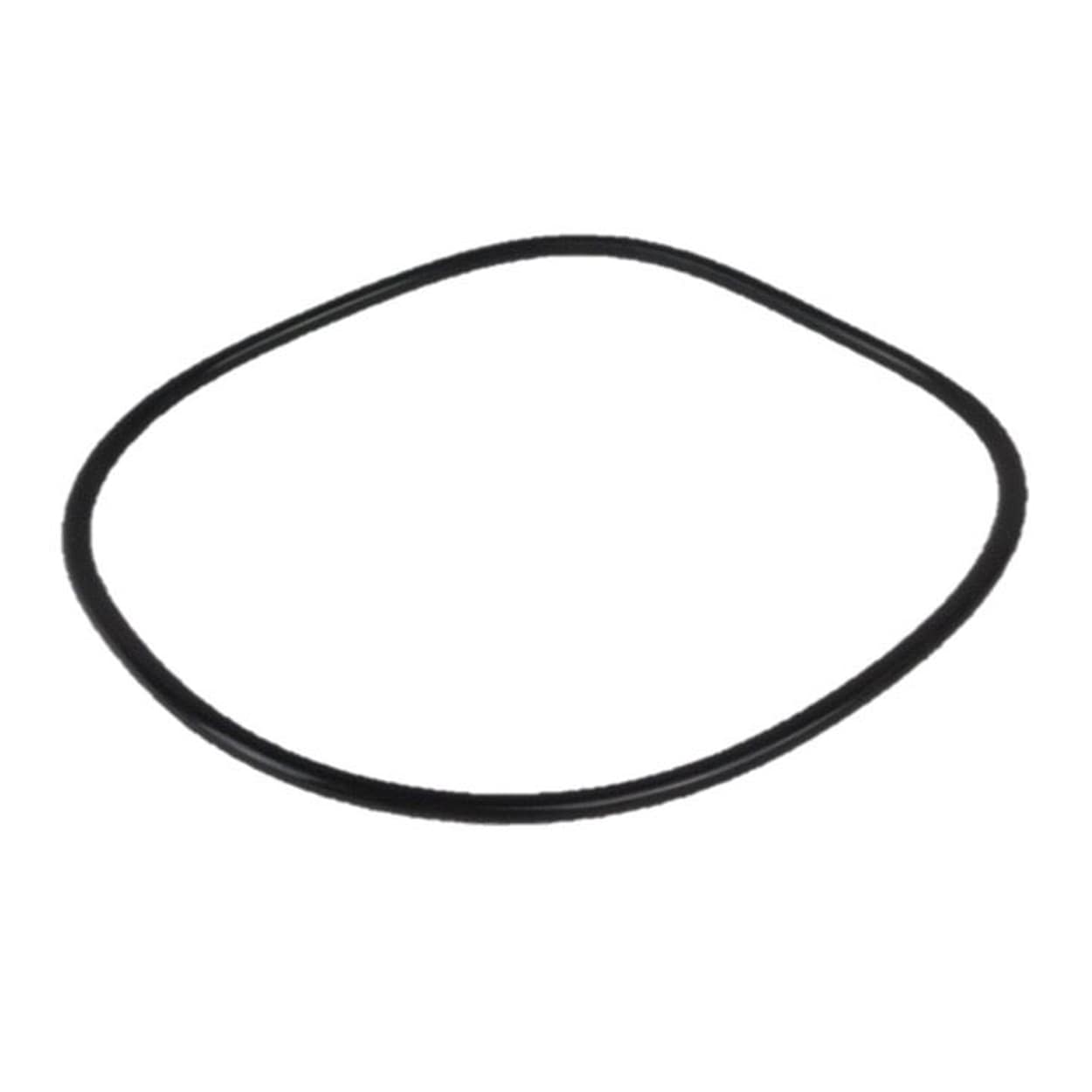 Davey Spa-Quip Compact Series Filter Lid O’Ring