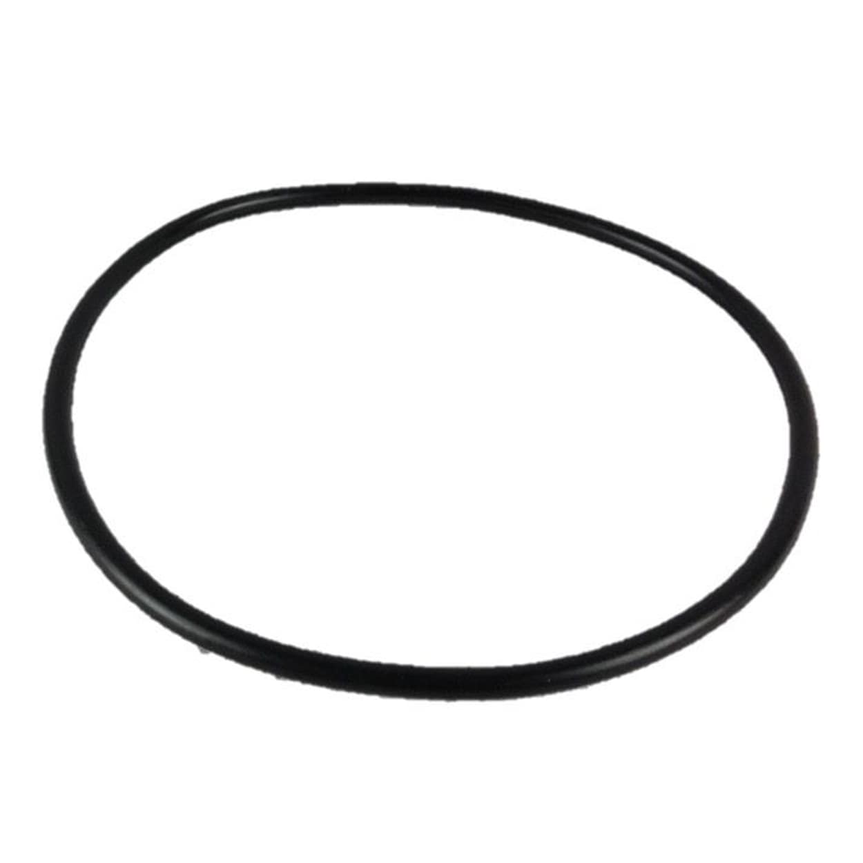 Waterco Top Load Spa Filter Lid O’Ring