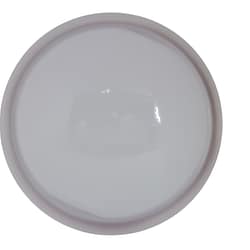 Hot Spring Spas / Tiger River Light Lens