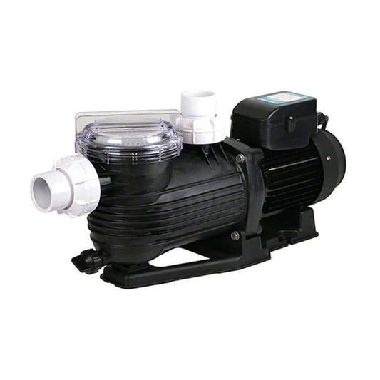 Pentair Pantera PPP 1500 1.5hp Pump