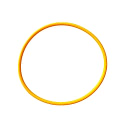 Astral CA/ECA Filter Body O'ring